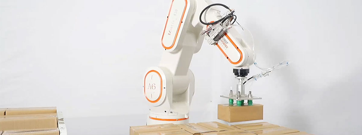 Wie wählt man das richtige Roboter palet isierungs system?