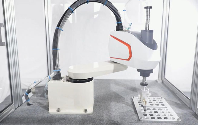 Scara Robot Picking-und Platzierungs-System